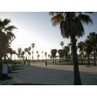 Los Angeles: : Venice Beach