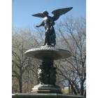 New York: : Angel of the Waters