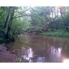 Whitmire: Duncan Creek, Whitmire, SC