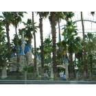 Phoenix: : Castles-n-Coasters amusement park
