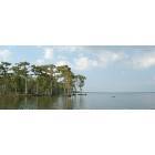 Des Allemands: Majestic cypress trees at the water's edge of Lake Des Allemands