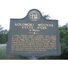 Blakely: Kolomoki Mounds State Park Marker north of Blakely