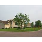 Big Lake: nice Honeylocust Tree & House in typical Big Lake housing development.