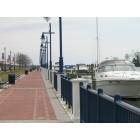 Washington: Washington, NC Waterfront