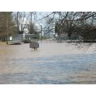 Orleans: flood of 08