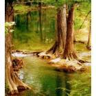 Wimberley: Cypress Creek