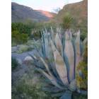 Alamogordo: Oliver Lee State Park
