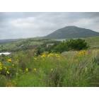 Medicine Park: Spring Wild Flowers and Mt Scott