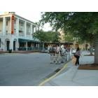 Celebration: Horses and Buggy, Delebration, FL