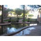 Phoenix: : Arizona Center garden