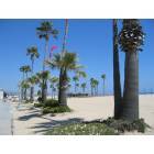 Newport Beach: Boardwalk by the beach