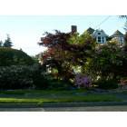 Aberdeen: : Aberdeen Mansion (former B n B now private residence)