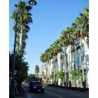 Los Angeles: At Beverly Hills