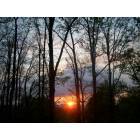 Reedsville: sunset through the trees of Reedsville