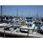 Monterey: Near Fisherman's Wharf