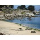 Monterey: Bike Path Near Fisherman's Wharf