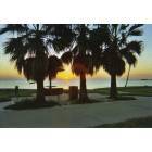Corpus Christi: Sunrise over Corpus Christi Bay - taken at Cole Park