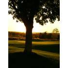 Lee: Setting sun on the Fred Arbanas golf course at Longview Lake