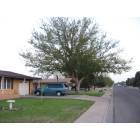 Portales: Portales Neighborhood