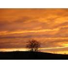 Umapine: Inspirational Sunset in Umapine