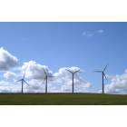 Umapine: Windmills - View From Umapine