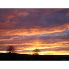 Umapine: Umapine Sunset