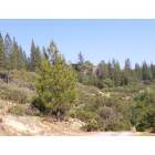 Mountain Ranch: M24-unit 2 view