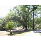 Mountain Ranch: M24-unit 2 view