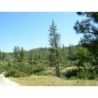Mountain Ranch: M24-unit 2 view