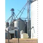 Alvord: The Farmers Co-op Elevator in Alvord.