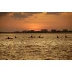 Fort Myers: : Kayaking in Fort Myers