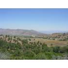 Tehachapi: : view from residential lot in alpine forest