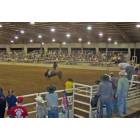 Ruston: Rodeo at the North Louisiana Exhibition Center in Ruston