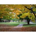 Brockport: Fall :: SUNY Brockport's campus