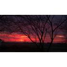 Steele: Beautiful Sunset picture  taken on County Road 454 Steele,MO Home of Jerry and Jane Fenimore