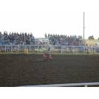 Burke: rodeo in Burke - South Dakota
