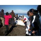 Kivalina: 07' beluga whale/ residents of kvl ak