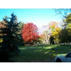 Stevensville: Fall colors of Stevensville, MI