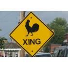 Blue Ridge: A rooster crossing sign- in the middle of town!