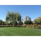 Foster City: Metro Center in Foster City, CA