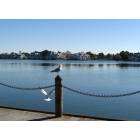 Foster City: Lagoon in Ryan's Park, Foster City, CA