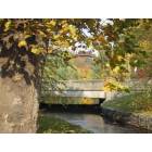 Nutley: The bridge in Memorial Park - one Fall morning