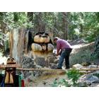 Shaver Lake: Bear carving in progress