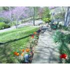 Greeneville: Spring flowers