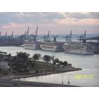 Miami: Biscayne Bay cruise ships