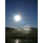 Ivins: Sprinklers in the Desert