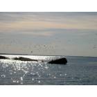 Sylvan Beach: Late afternoon on the lake