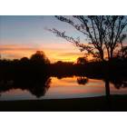 Merritt Island: my backyard in merritt island