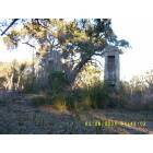 Sumter: OLD PLANTATION HOUSE ON HWY 15 SOUTH