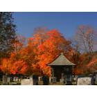 Mendon: Autumn color at the old cemetery in Mendon